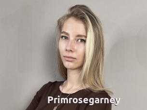 Primrosegarney