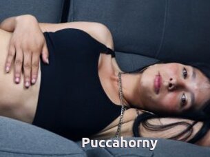 Puccahorny