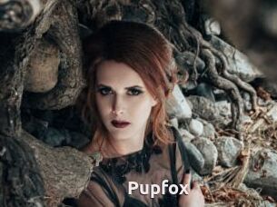 Pupfox