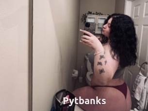 Pytbanks