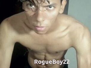 RogueBoy22