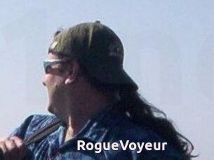 RogueVoyeur