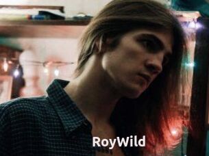 RoyWild