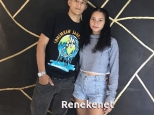 Renekenet