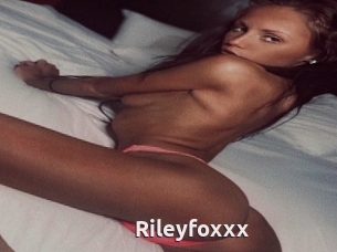 Rileyfoxxx