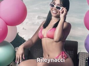 Rileynacci