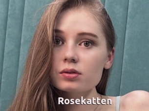 Rosekatten