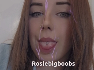 Rosiebigboobs