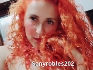 Sanyrobles202