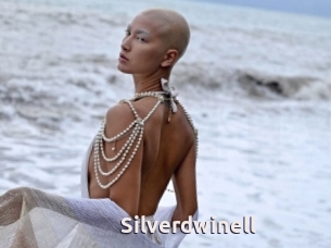 Silverdwinell