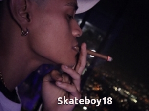 Skateboy18