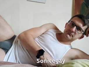 Sonicegay