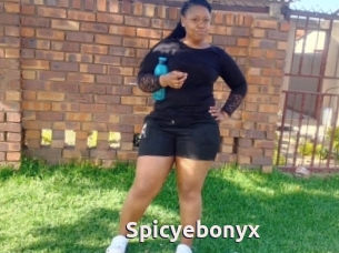 Spicyebonyx