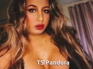 TS_Pandora