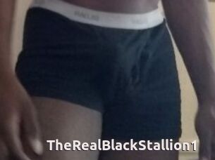 TheRealBlackStallion1