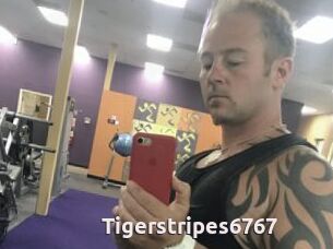 Tigerstripes6767