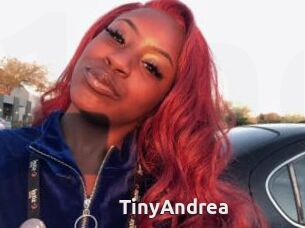 TinyAndrea