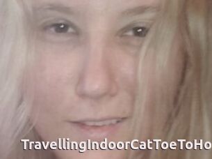 TravellingIndoorCatToeToHoe