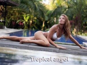 Tropical_angel