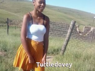 Turtledovey