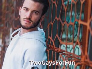 TwoGaysForFun