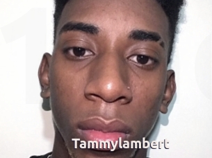 Tammylambert