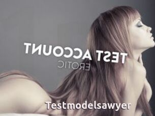 Testmodelsawyer