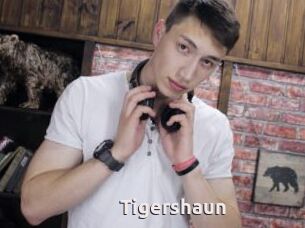 Tigershaun