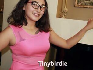 Tinybirdie