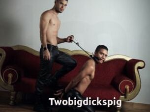 Twobigdickspig