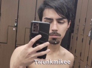 Twunkmikee