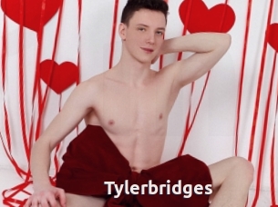 Tylerbridges