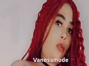 Vanesamude