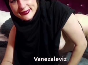 Vanezaleviz