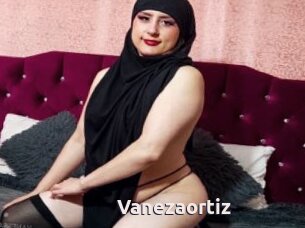 Vanezaortiz