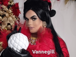 Vannegill