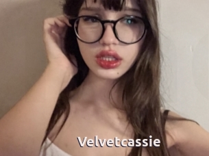 Velvetcassie