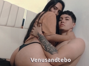 Venusandtebo