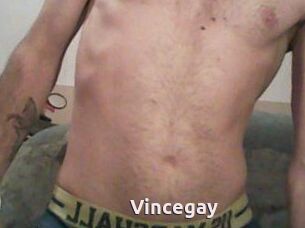 Vincegay