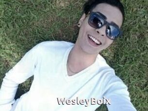 Wesley_Boix