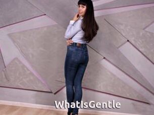 WhatIsGentle