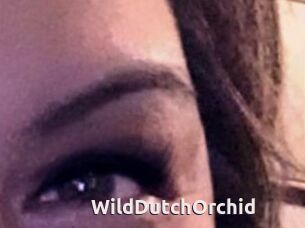 WildDutchOrchid