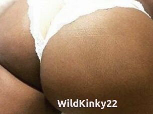 WildKinky22