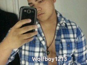 Wolfboy1213