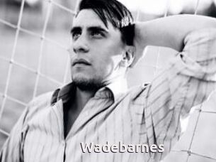 Wadebarnes