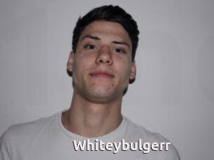 Whitey_bulgerr