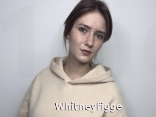 Whitneyfigge