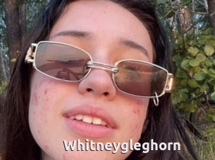 Whitneygleghorn