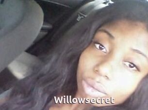 Willow_secret