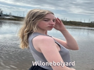 Wilonebolyard